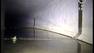 163_ロビオンRX400（高2500☓幅5000）