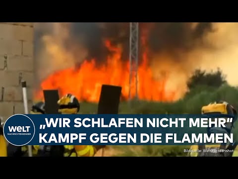SPANIEN: Hunderttausende Hektar durch Waldbrände zerstört! Behördenversagen auf ganzer Linie