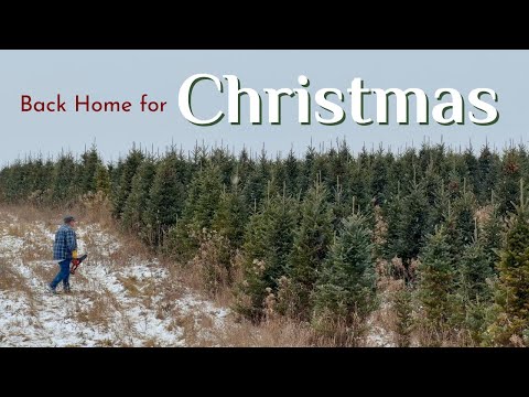 A Cozy Christmas Back Home in Wisconsin | Slow Winter Days | From Turkey to the USA for the Holidays