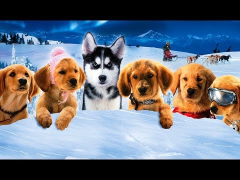 Tráiler Snow Buddies [WEB-DL] 2008