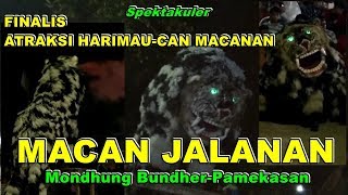 Download lagu The spectacular 'CAN MACANAN' street tiger pamekasan madura - Can Macanan ATTRACTION mp3 Download lagu The spectacular 'CAN MACANAN' street tiger pamekasan madura - Can Macanan ATTRACTION mp3