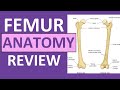 Femur Bone Anatomy Lecture and Landmark Markings