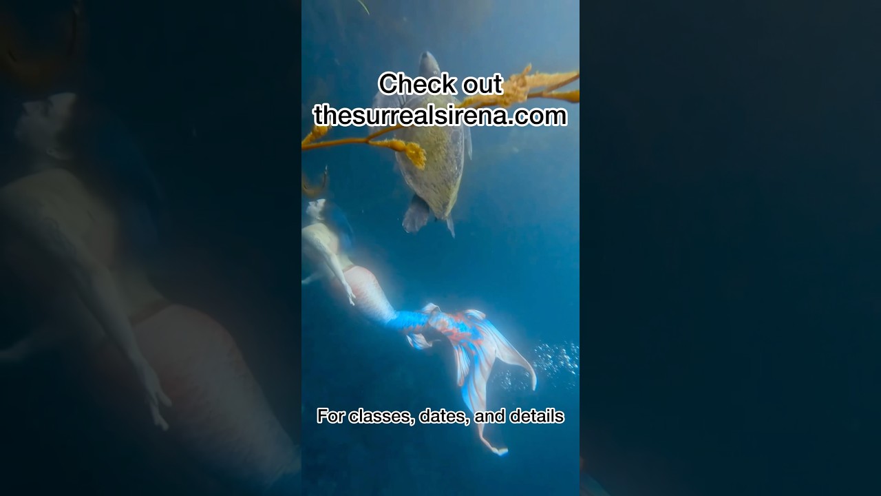 Promotional video thumbnail 2 for The Surreal Sirena Mermaid Entertainment