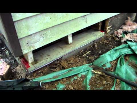 sill plate replacement Front Building pt3