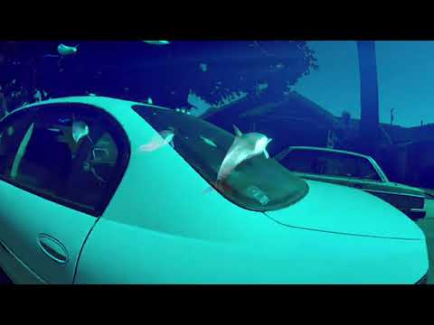 LYZZA & SHYGIRL - TAKE THE L // LET' RIDE