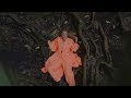 РИТА DAKOTA - МАНТРА (ПРЕМЬЕРА КЛИПА / 2019) РИТА DAKOTA - МАНТРА (ПРЕМЬЕРА КЛИПА / 2019)