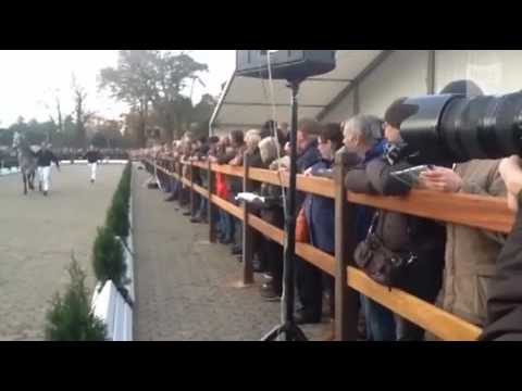 Oldenburger Hengsttage