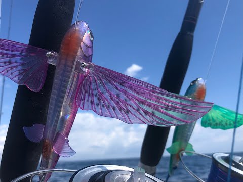 Flying Fish Multiple Rigging Options - Nomad Slipstream Flying Fish Overview of all Rigging Options.