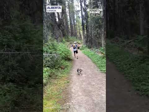 Couple on hike has close encounter with a bear