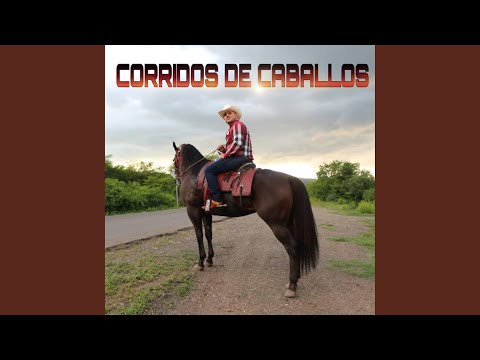 Trato De Muerte (feat. Los Buchones De Culiacan)