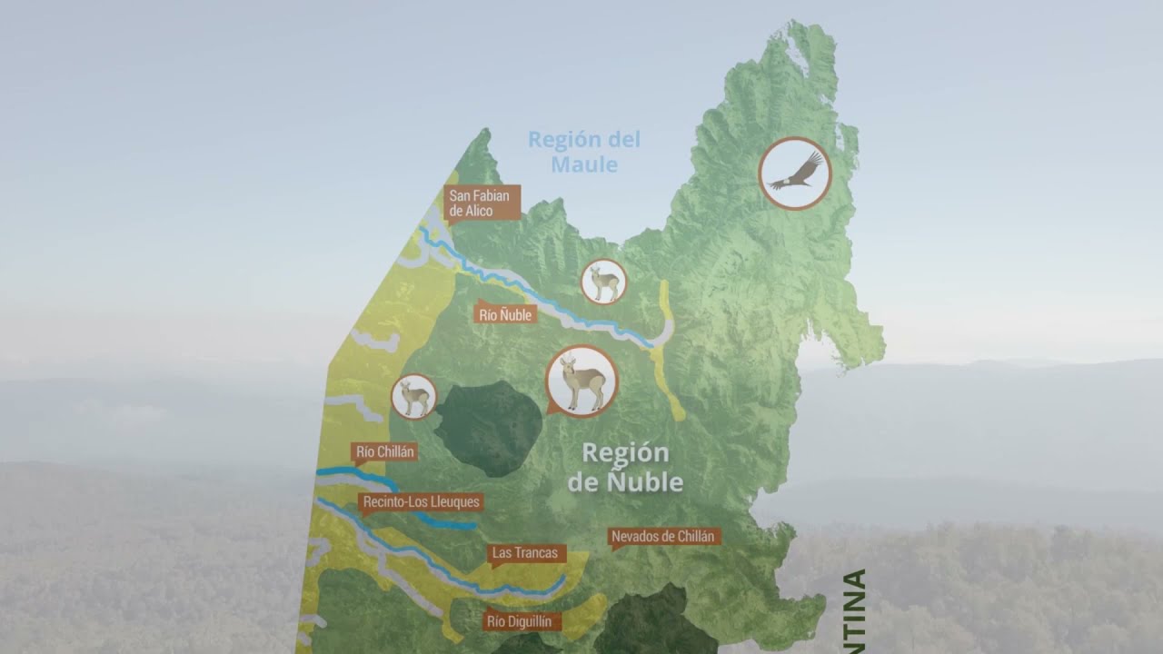 10 años de vida de la Reserva de la Biosfera Nevados de Chillán – Laguna del Laja