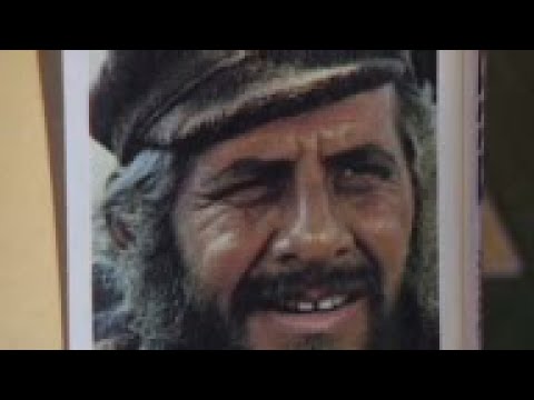 Hain Topol talks life and career ahead of receiving lifetime achievement award.