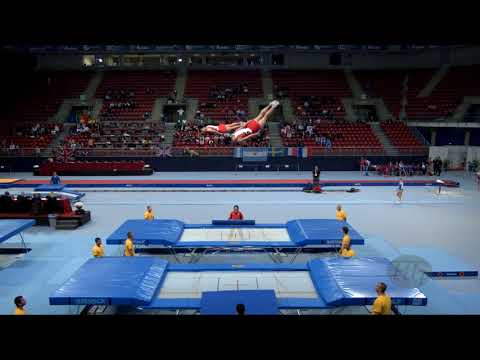 Japan 1 (JPN) - 2017 Trampoline Worlds, Sofia (BUL) - Qualification Synchro Routine 2