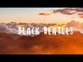 Rae Sremmurd Black Beatles Clean Lyrics Ft Gucci Mane
