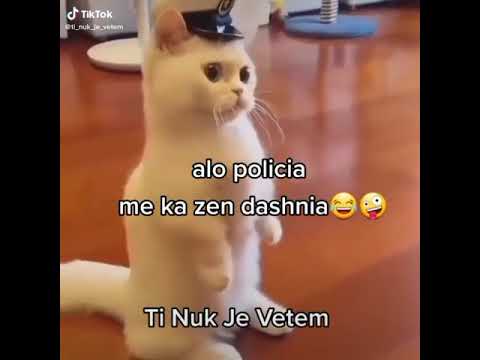 alo policia më ka zen dashnia🤣🤣🤣🤣🤣 #fyppp #viralshorts #lol #fypp #funny #video  #tiktok