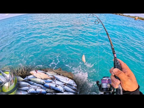 I HOOKED A MONSTER (Crazy non-stop action)