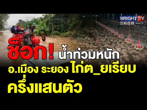 ระยอง น้ำท่วมยังไม่คลี่คลาย ฝนตกตลอด เจ้าของฟาร์มเลี้ยงไก่ช้ำ ไก่ตา_ 5 หมื่นตัว สูญ 10 ล้านบาท
