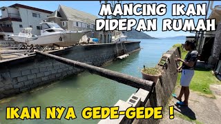 Download lagu Fishing for big fish in the river near the house #fishing #japan mp3 Download lagu Fishing for big fish in the river near the house #fishing #japan mp3