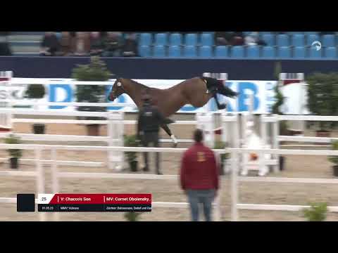 Kat. Nr. 25 Hengst v. Chacco's Son - Cornet Obolensky *01.05.2023