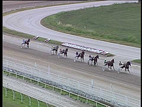 Trotto 22/06/2019 - 2ª prova di qualifica