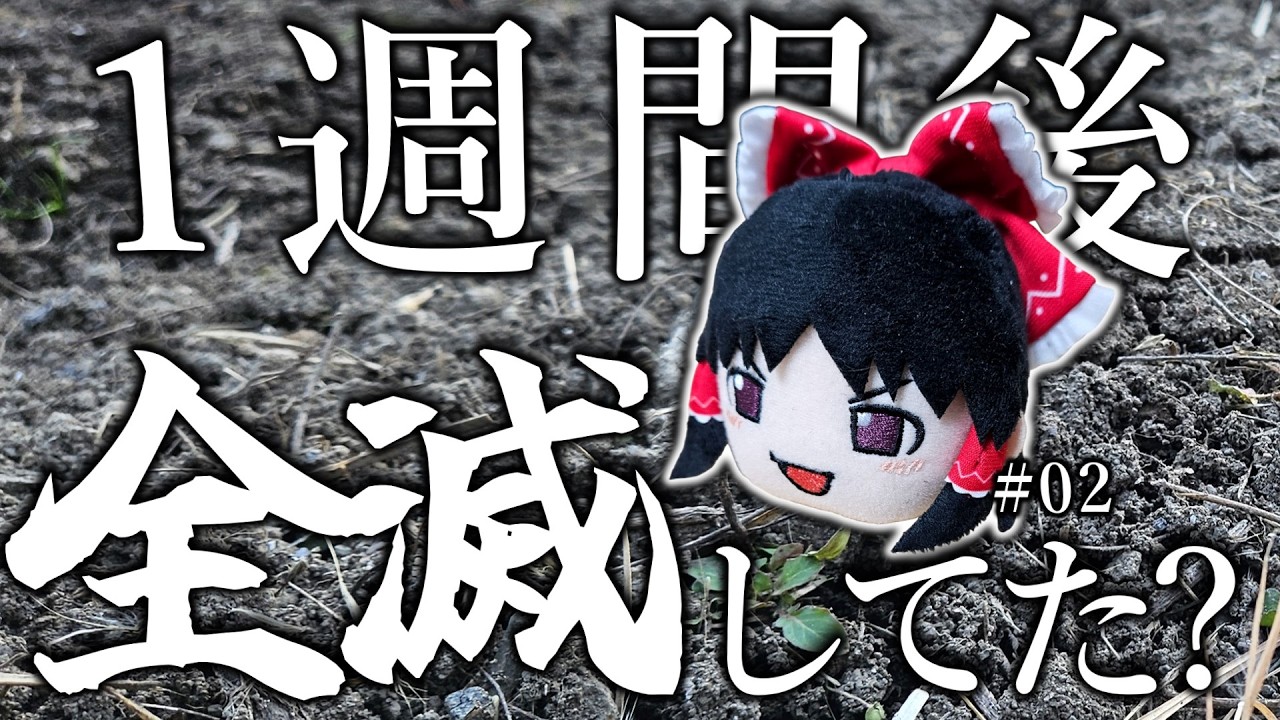 ゆっくり実況者、発芽＆成長を見守る。｜手探り作業録 #02【ゆっくり実況】