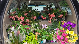 So Many New Plants For Summer Planting