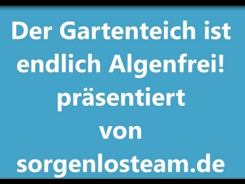 Endlich keine Algen mehr im Gartenteich - das Naturmittel