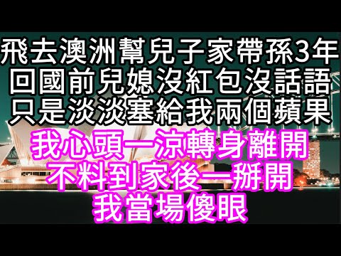 飛去澳洲幫兒子家帶孫3年回國前兒媳沒紅包沒話語只是淡淡塞給我兩個蘋果 我心頭一涼轉身離開不料到家後一掰開我當場傻眼 #心書時光 #為人處事 #生活經驗 #情感故事 #唯美频道 #爽文