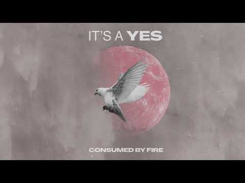 Thumbnail for It's a Yes video