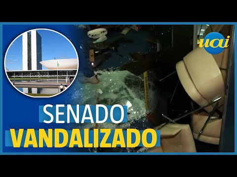 Terrorismo em Brasília: bolsonaristas vandalizam Senado