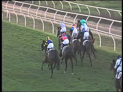 Galoppo 12/12/2015 - 5° corsa