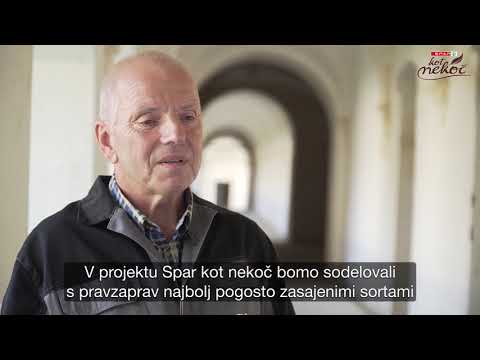 SPAR Kot nekoč - Samostan Pleterje, slovenska zibelka sadjarstva