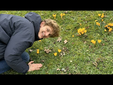 Jan Lisiecki -  Szymanowski: 9 Preludes, Op. 1 No.1-No.3