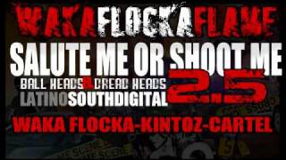 WAKA FLOCKA feat. kintoz &amp; cartel - WHAT  WULD U DO prod by mixboi &quot;LSDigital&quot;