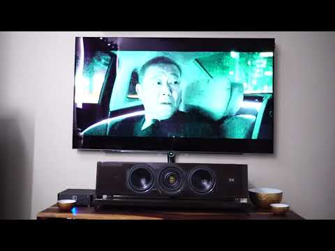 Elac FS 507 + 501 + 403 + 1645 + 2090 Heimkino Dolby Atmos 5.2.4.