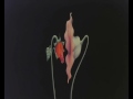 Pink Floyd - Gerald Scarfe Animation - What Shall We Do Now?