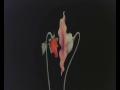 Pink Floyd - Gerald Scarfe Animation - What Shall ...