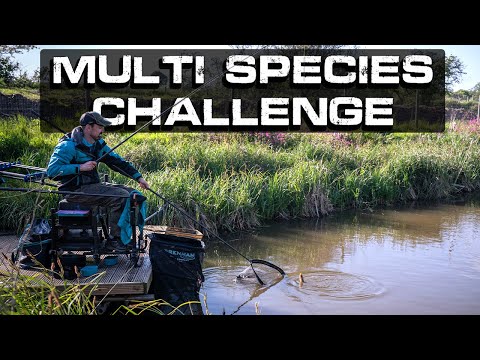 MULTI Species Challenge! | Stu Lennox