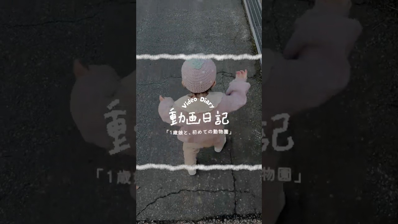 1歳娘、初めてゾウを見て…🐘｜動画日記ᝰ✍︎