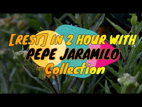 [REST] in two hours with Pepe Jaramilo Collection