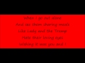 New found glory & Hayley Williams - Vicious Love ...