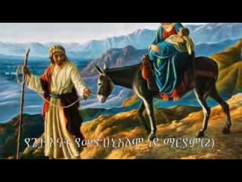 ሞገሴ ነሽ