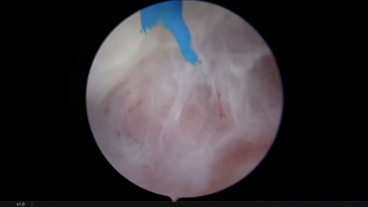 Alfredo Rodríguez Falconi-19