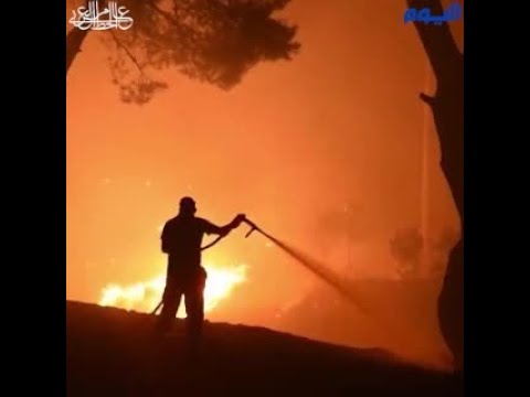 حرائق الغابات تستعر وتسبب خسائر كارثية