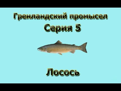 Русская Рыбалка 3.99 Гренландский промысел 5 - Лосось