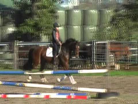 Florencio Stute komplett