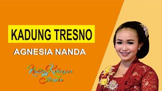 Download lagu (LIRIK) BOWO LANGGAM KADUNGG TRESNOO - AGNESIA NANDASARI mp3