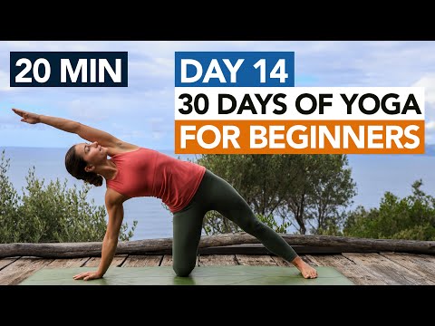20 Min Full Body Beginner Yoga (Day 14) 30 Days of Yoga For Beginners thumbnail