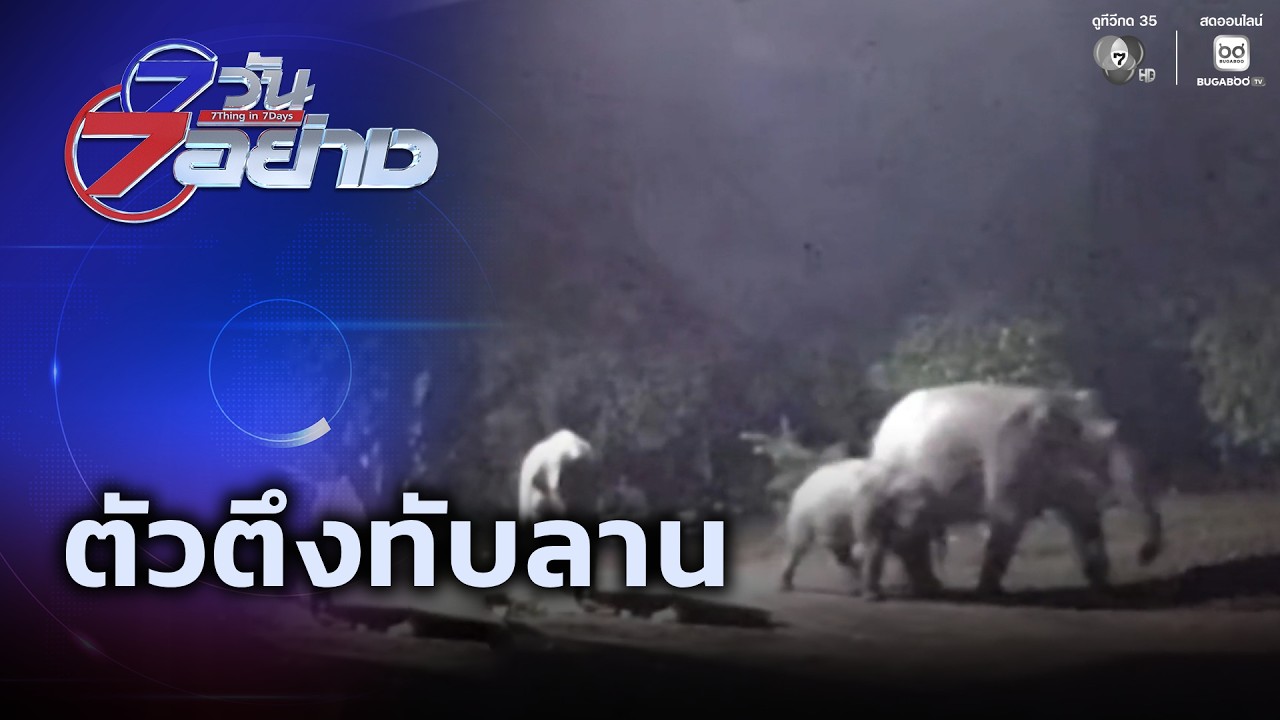 ตัวตึงทับลาน | 7 วัน 7 อย่าง