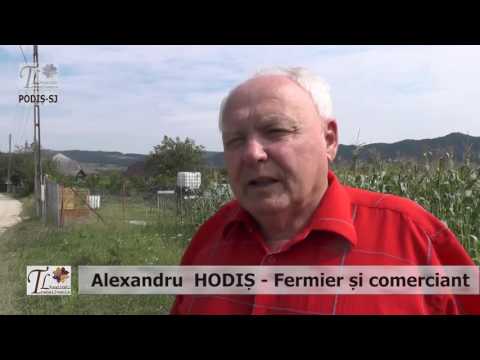 PODIȘ-SJ (2016) - Alexandru Hodiș - Agricultura de performanţă